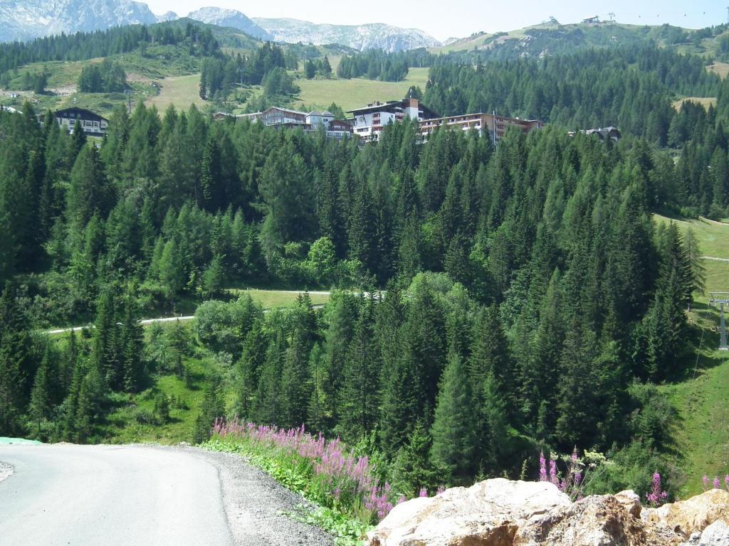 Nassfeld Apartments - "Traditionell Anders" Sonnenalpe Nassfeld Cameră foto